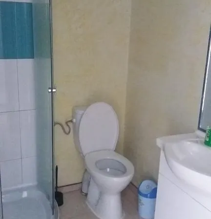 Vila Puiu Borsa Mm מראה חיצוני תמונה