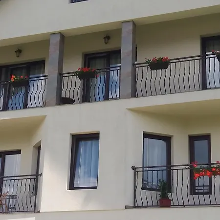Vila Puiu Borsa Mm מראה חיצוני תמונה