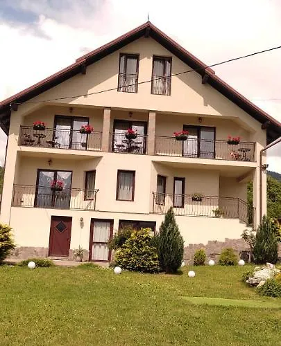 Vila Puiu Borsa Mm
