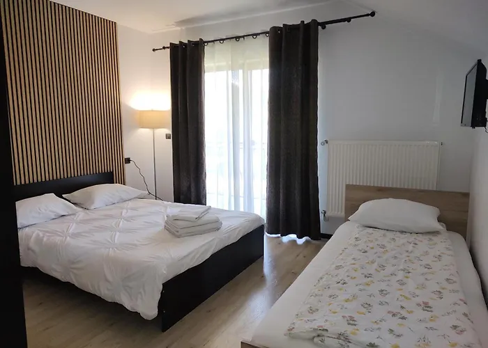 Vila Puiu Borsa Mm