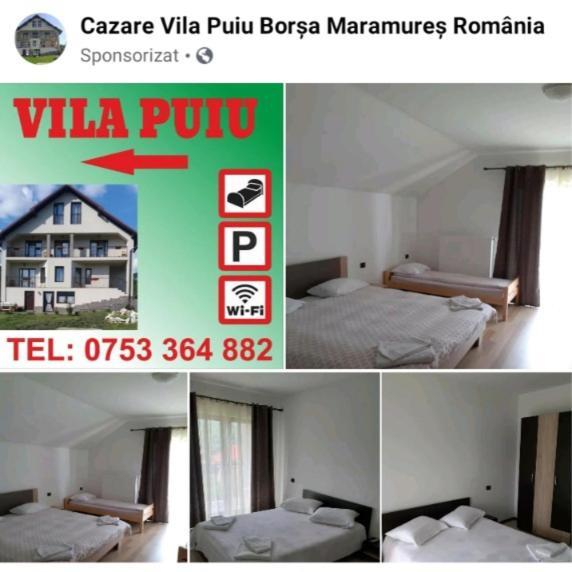 Puiu Mm