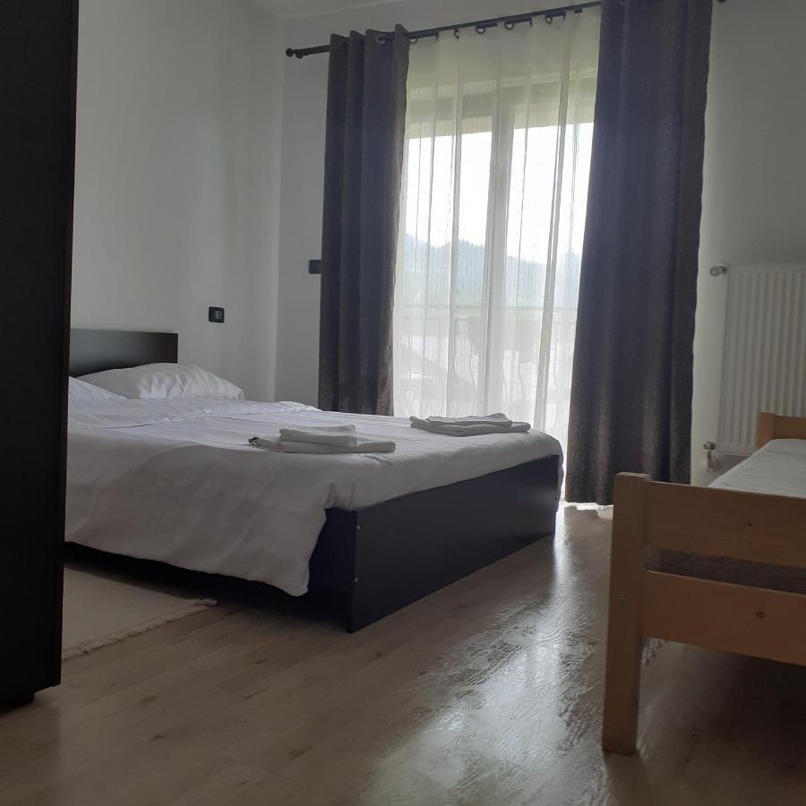 Villa Puiu Mm
