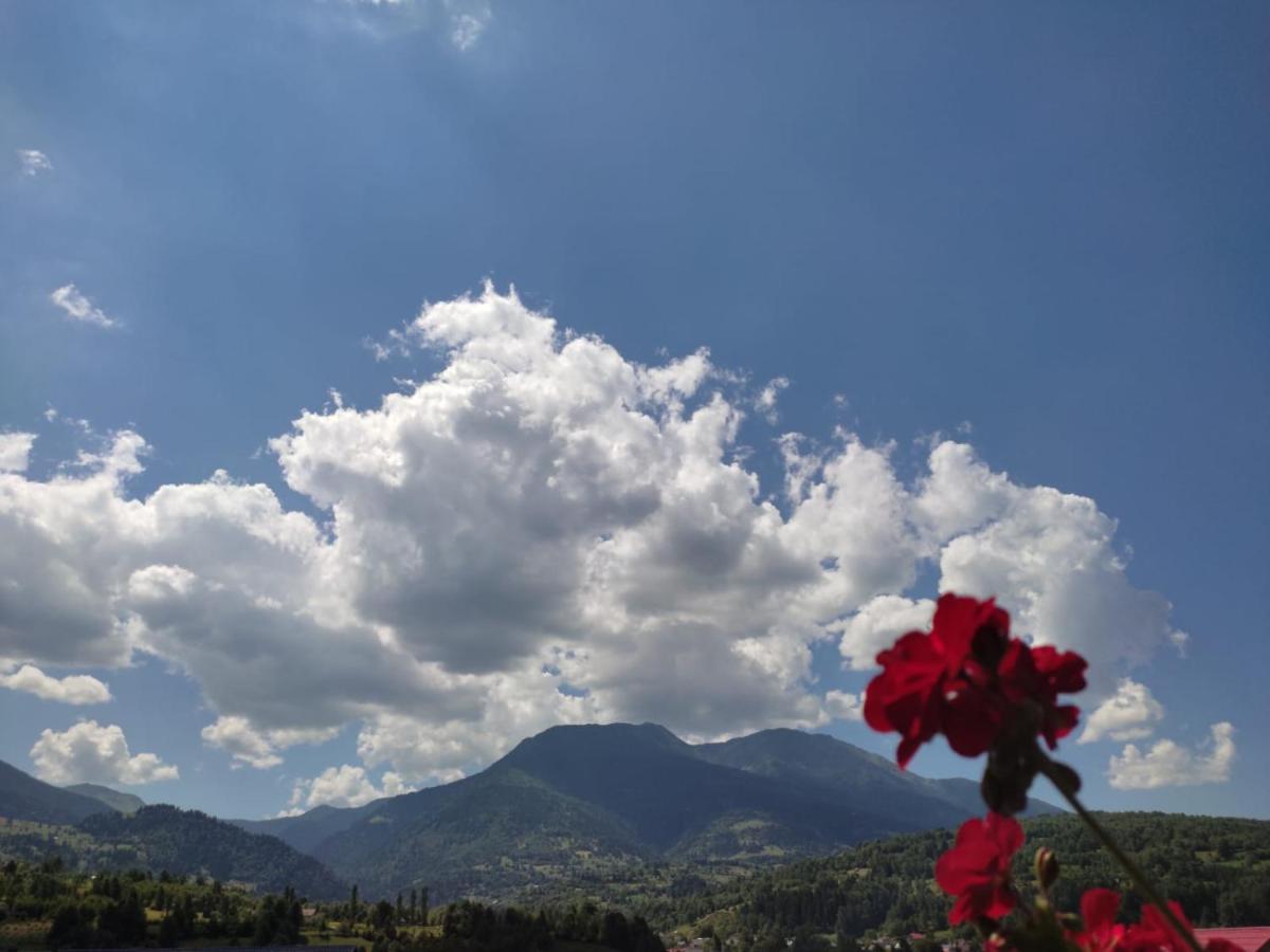 Puiu Mm Borsa (Maramures)
