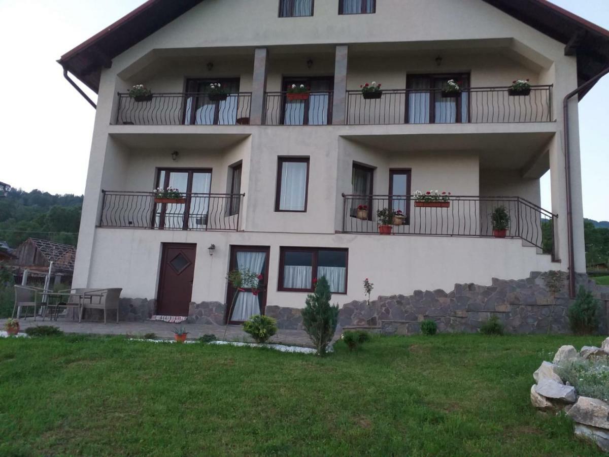 Puiu Mm * Borsa (Maramures)