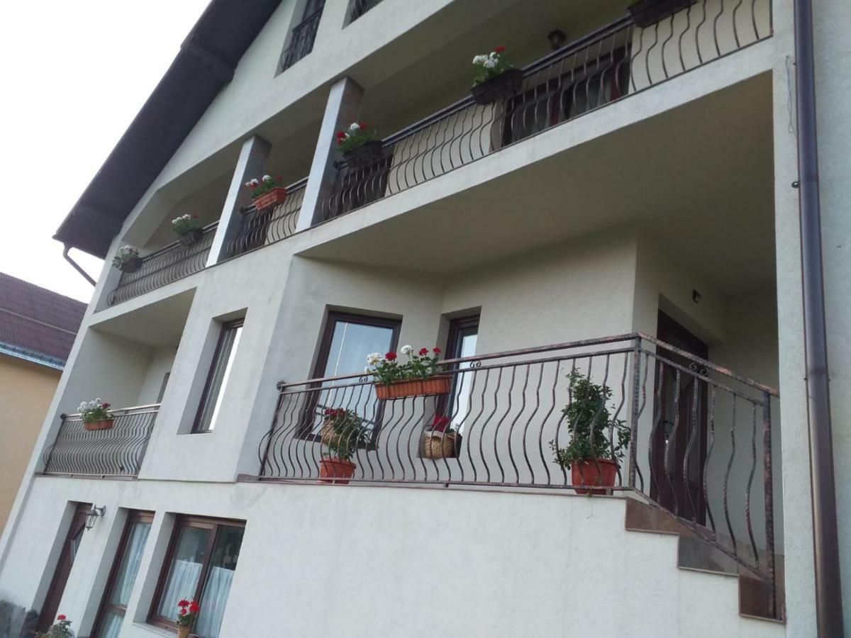 Puiu Mm Villa Borsa (Maramures)